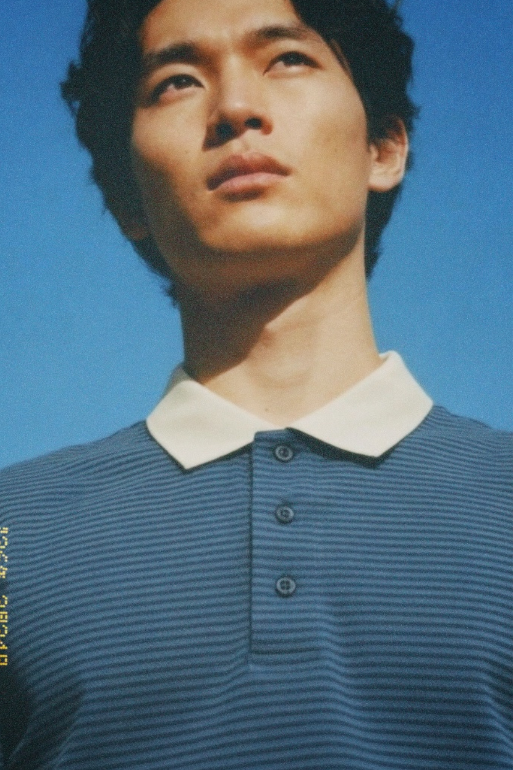 The Harbor Stripe Polo